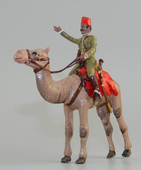 Egyptian Camel Corps Soldier