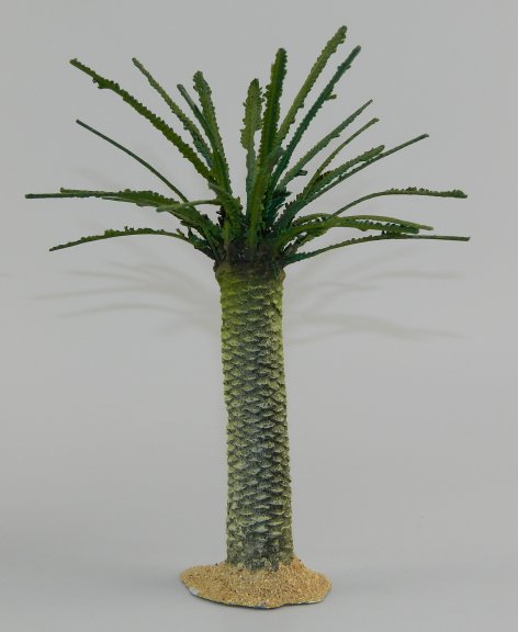 Small Date Palm