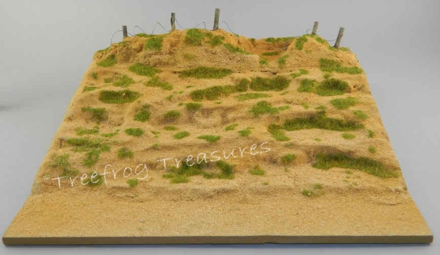 D-Day Beach Section with Long Dune