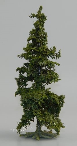 Small Fir Tree