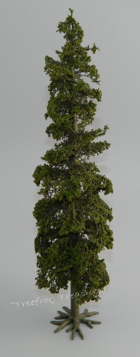 Tall Fir