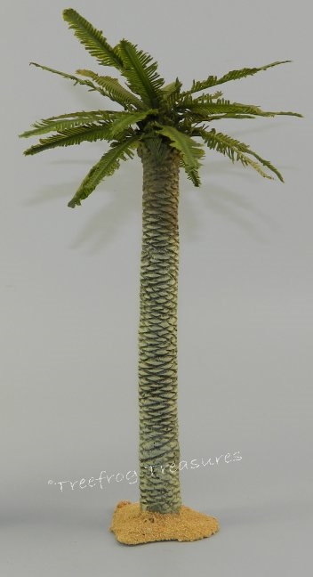 Large Date Palm