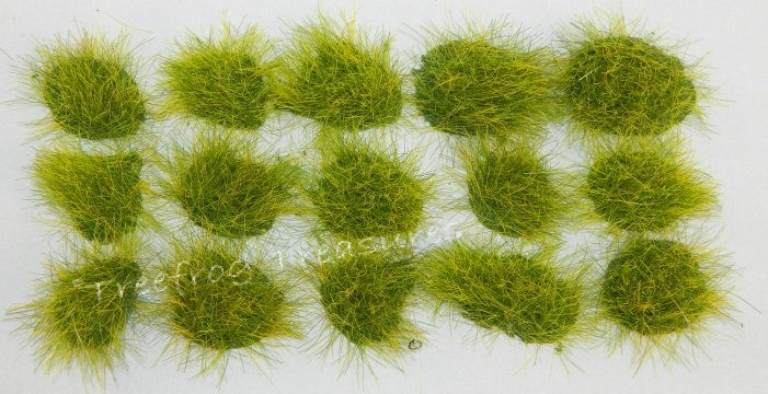 Clumps of Medium Green Grass