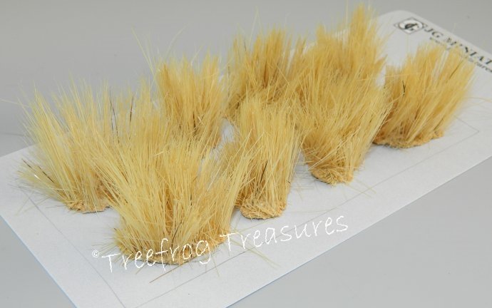 Elephant Grass (Pack of 10)