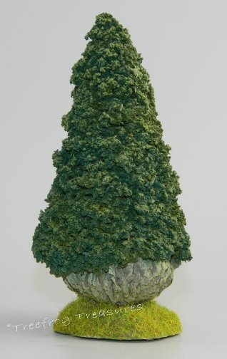 Lawson Cypress